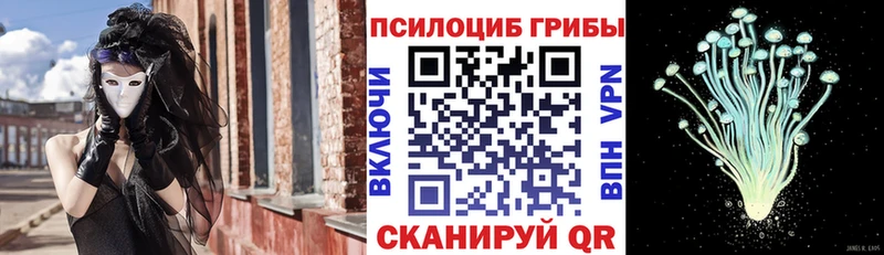 KRAKEN ТОР где можно купить Плавск Псилоцибиновые грибы Psilocybine cubensis